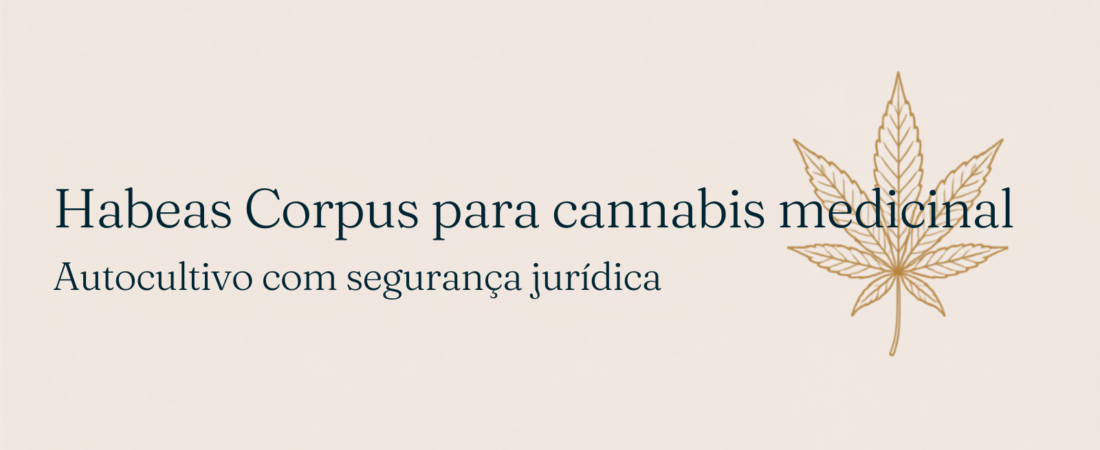 Habeas Corpus para cultivo de cannabis medicinal: canabidiol e autocultivo (2026)