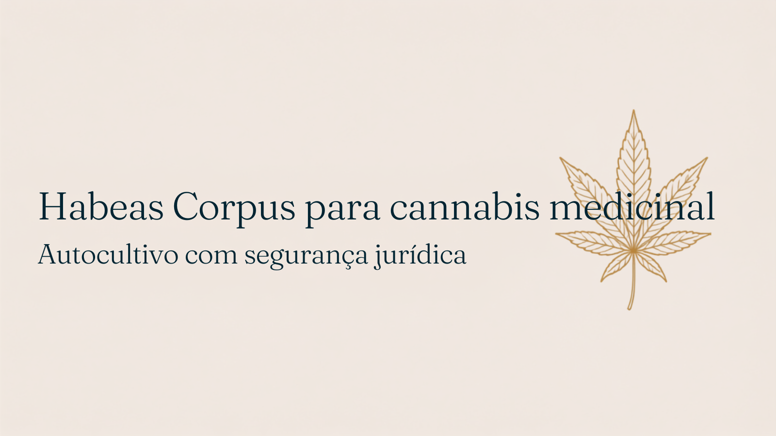 Habeas Corpus para cultivo de cannabis medicinal: canabidiol e autocultivo (2026)
