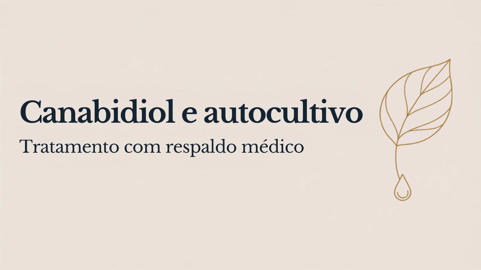 Canabidiol e autocultivo com respaldo médico